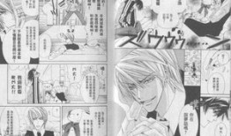 纯情罗曼史漫画结局,甜蜜归宿，爱情终章